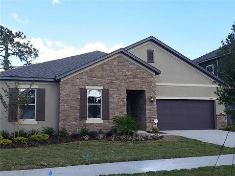 11848 Cross Vine Dr, Riverview, FL 33579 photo 1