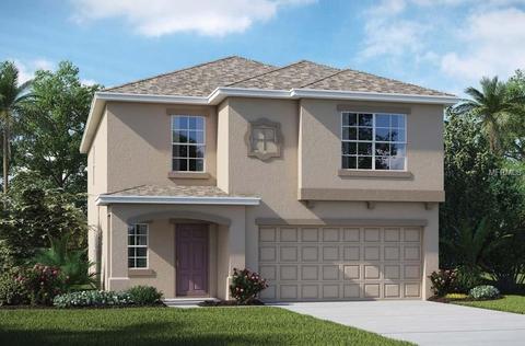 453 Serenity Mill Loop, Ruskin, FL 33570 photo 1