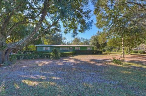 14101 Walden Sheffield Rd, Dover, FL 33527 photo 1