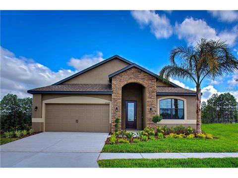 12228 Ballentrae Forest Dr, Riverview, FL 33579 photo 1