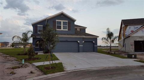 11919 Greenchop Pl, Riverview, FL 33579 photo 1
