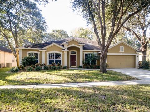 12526 Riverglen Dr, Riverview, FL 33569 photo 1