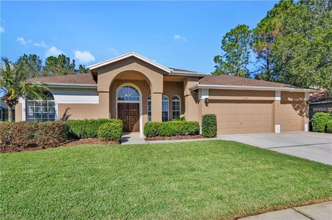 18505 Bittern Ave, Lutz, FL 33558 photo 1