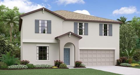 10102 Rosemary Leaf Ln, Riverview, FL 33578 photo 1