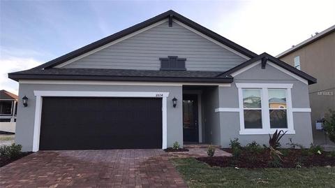 10654 Cardera Dr, Riverview, FL 33578 photo 1