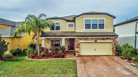 1662 Fox Grape Loop, Lutz, FL 33558 photo 1