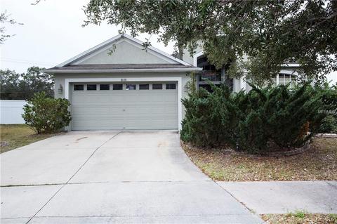 8638 Sandy Plains Dr, Riverview, FL 33578 photo 1