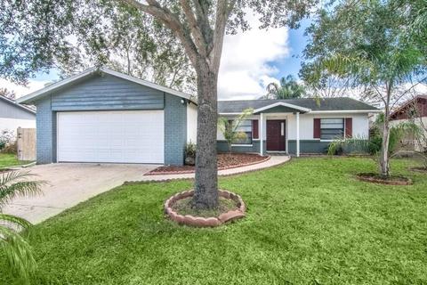 3203 Acapulco Dr, Riverview, FL 33578 photo 1