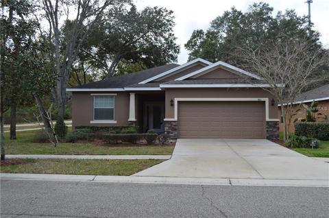 8611 Olive Moss Ct, Riverview, FL 33569 photo 1