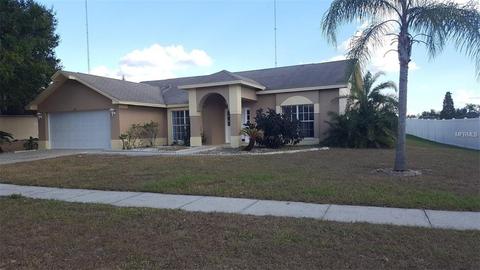 10422 Crestfield Dr, Riverview, FL 33569 photo 1