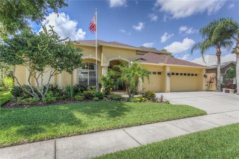 19203 Wind Dancer St, Lutz, FL 33558 photo 1