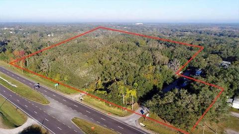 Hans Lane, Dover, FL 33527