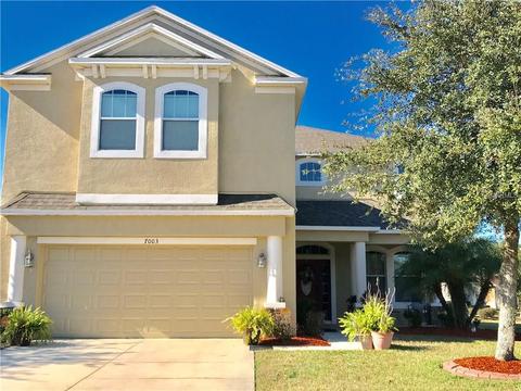 7003 Blue Beech Dr, Riverview, FL 33578 photo 1