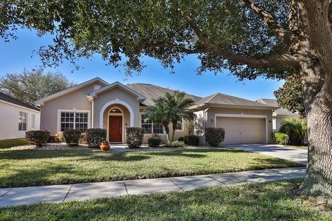 12419 Bramfield Dr, Riverview, FL 33579 photo 1