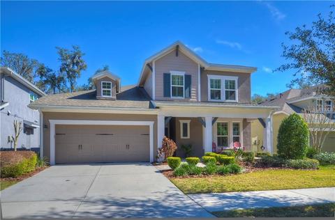 16113 Courtside View Dr, Lithia, FL 33547 photo 1