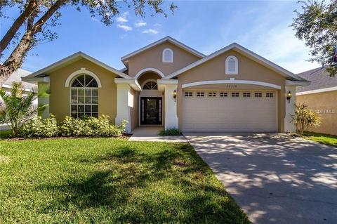 16919 Hawkridge Rd, Lithia, FL 33547 photo 1