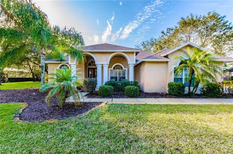 17709 Simms Rd, Odessa, FL 33556 photo 1