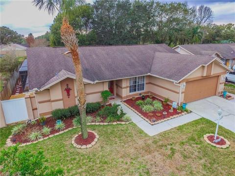 12215 Wildbrook Dr, Riverview, FL 33569 photo 1