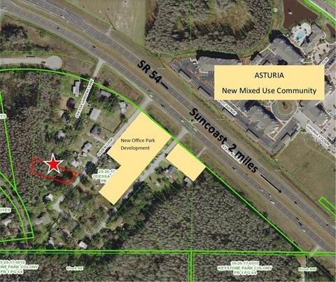 14931 Ogden Loop, Odessa, FL 33556 photo 1