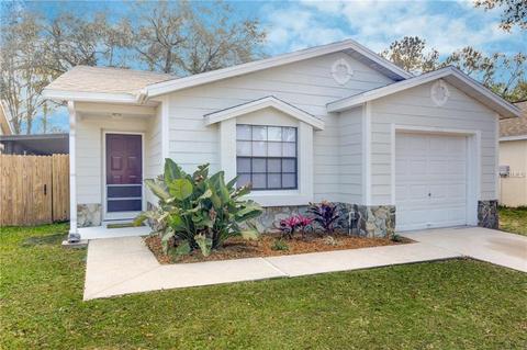13212 Laraway Ct, Riverview, FL 33579 photo 1