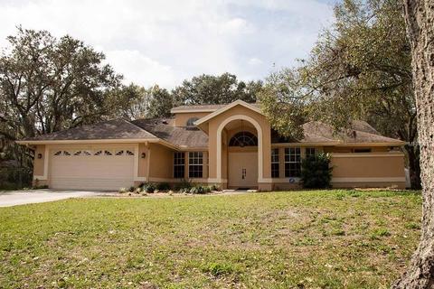 3121 Timberlee Rd, Wimauma, FL 33598 photo 1