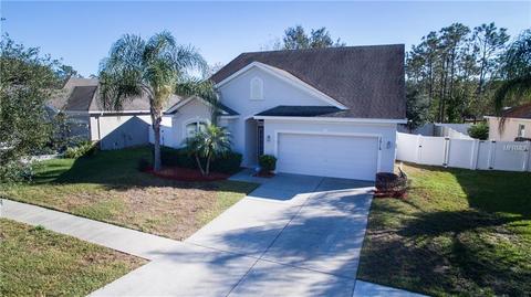 1516 Rushgrove Cir, Dover, FL 33527 photo 1