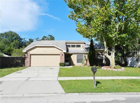 12141 Fruitwood Dr, Riverview, FL 33569 photo 1