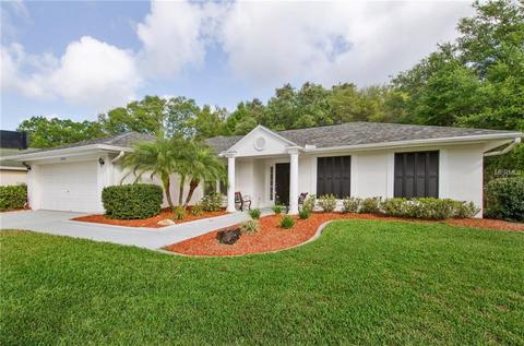 10326 Ashley Oaks Dr, Riverview, FL 33578 photo 1