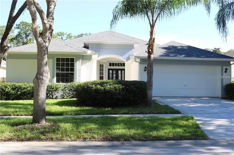 7009 Potomac Cir, Riverview, FL 33578 photo 1