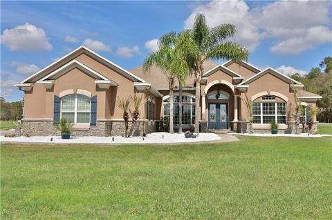 18232 Lithia Ranch Rd, Lithia, FL 33547 photo 1