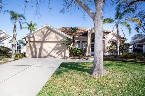 9517 Sunnyoak Dr, Riverview, FL 33569 photo 1