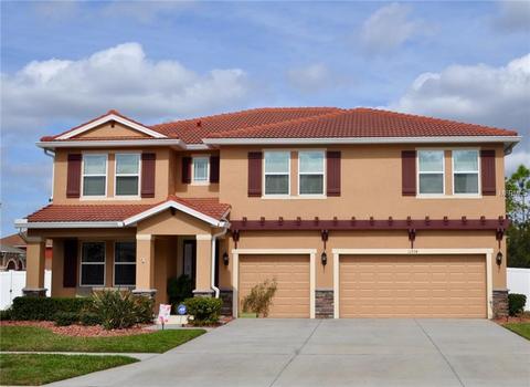 11734 Newberry Grove Loop, Riverview, FL 33579 photo 1
