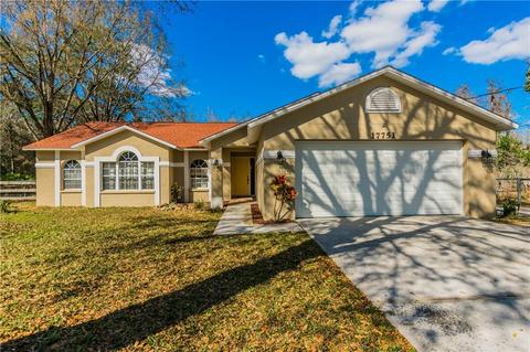 17751 Eagle Ln, Lutz, FL 33558 photo 1