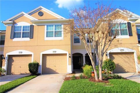 10216 Post Harvest Dr, Riverview, FL 33578 photo 1