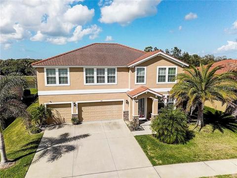 142 Star Shell Dr, Apollo Beach, FL 33572 photo 1