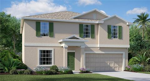 14101 Covert Green Pl, Riverview, FL 33579 photo 1