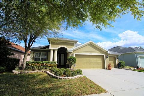 11411 Newgate Crest Dr, Riverview, FL 33579 photo 1