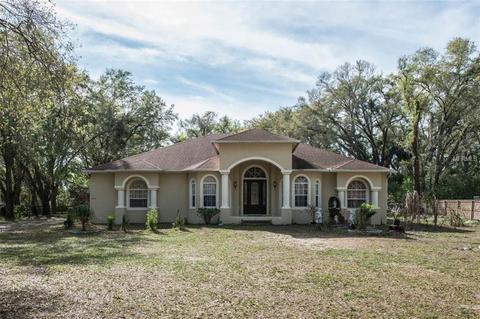 4014 Peek St, Seffner, FL 33584 photo 1