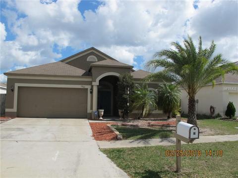13205 Cherry Bark Cir, Riverview, FL 33579 photo 1