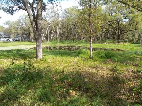 3208 John Moore Rd, Brandon, FL 33511 photo 1