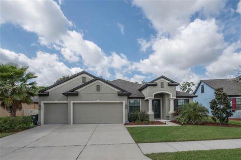 11016 Brahman Ranch Cir, Riverview, FL 33578 photo 1