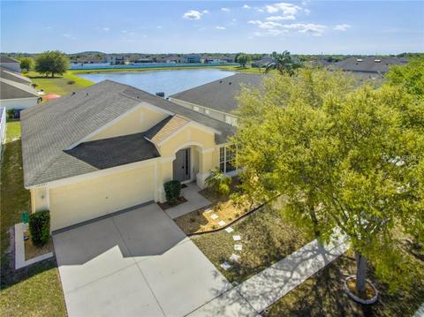 12321 Cedarfield Dr, Riverview, FL 33579 photo 1