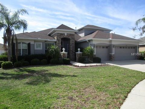 12312 Belcroft Dr, Riverview, FL 33579 photo 1