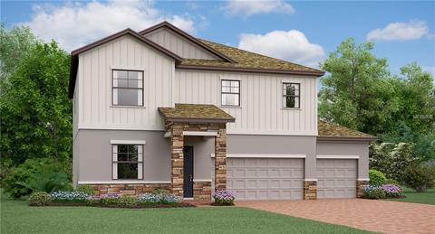 13504 White Sapphire Rd, Riverview, FL 33579 photo 1