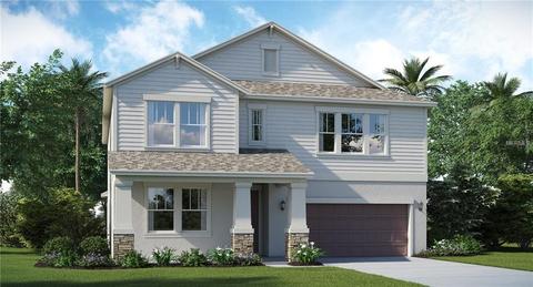 10060 Victory Gallop Loop, Riverview, FL 33579 photo 1