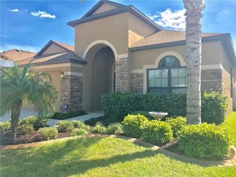 8428 White Poplar Dr, Riverview, FL 33578 photo 1