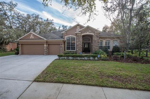 5820 Terncrest Dr, Lithia, FL 33547 photo 1
