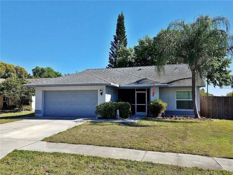11516 Smokethorn Dr, Riverview, FL 33579 photo 1