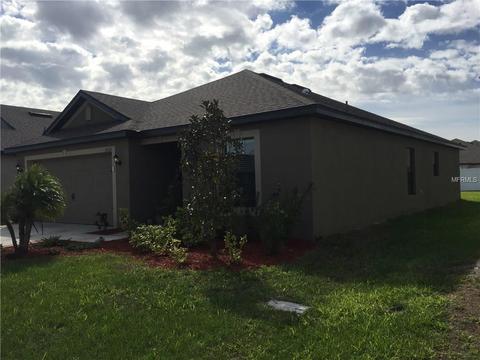 14311 Haddon Mist Dr, Wimauma, FL 33598 photo 1