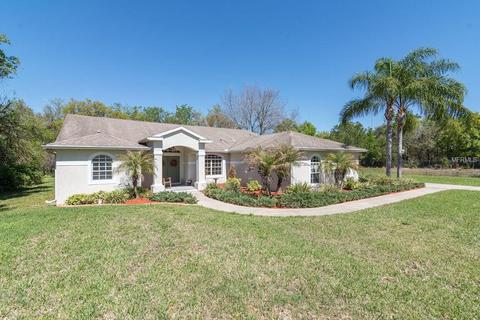 12704 Silver Pine Dr, Riverview, FL 33569 photo 1